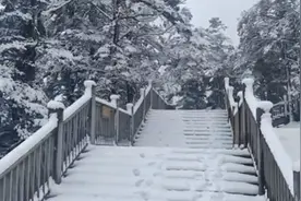 罕见！西岭雪山又双叒叕下雪了，积雪厚度达20公分！一半雪山、一半花海太美了图片