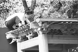 温州90后姑娘在家造“故宫井亭”图片