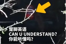 消防员救“落水狗”，中英双语轮番沟通失败，切换成第三种“语言”终成功图片