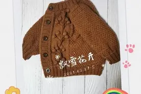 经典款春季男童棒针开衫（有编织图解）图片