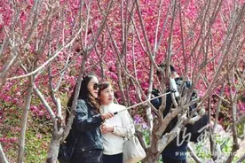 山西景区恢复旺季门票价，这些景区推出了优惠活动，可别错过图片