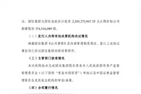 又一民营券商奔向国资怀抱！国融证券引战卖身计划落地，青岛国资拟豪掷68亿拿下控股权图片