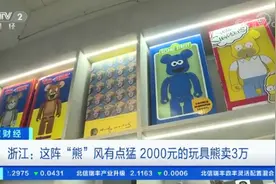 2000元的玩具熊被炒到3万元，积木熊到底咋火的？图片