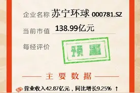 镁刻·年报速读｜苏宁环球：2020年归母净利下降15.66%至10.38亿元图片