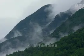 追梦人·老外看中国脱贫｜情暖大凉山图片