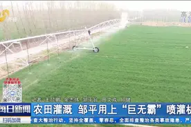 邹平用上“巨无霸”喷灌机，只需按按钮就能灌溉施肥，省水又省力视频封面