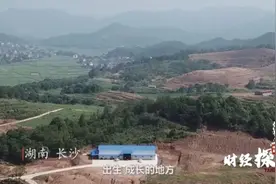 大起底！他掀起400多亿风浪图片