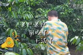 Vlog｜全球奇瓜异果“安家”海南，尝尝哪个更甜！视频封面