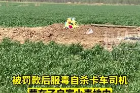 极目深度｜麦田里躺着货车司机金德强图片