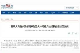 岑少宇：“经络”图片好看但无用，来谈谈经络的本质图片