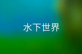 每日最佳情报｜跟着壹粉探索美丽的水下世界，最佳情报非他莫属图片