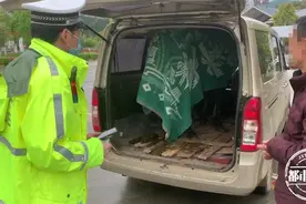 江西交警打开面包车门，里面跑出一匹马图片