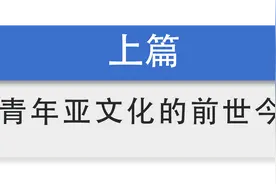 半月谈｜从“杀马特”到“鬼畜”，中国网络的数百种“亚文化”圈层正在发生什么？图片