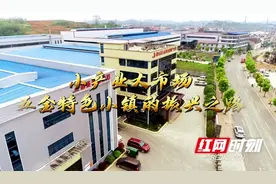 乡村振兴看邵阳 | 邵东仙槎桥镇：小产业大市场 五金特色小镇的振兴之路图片