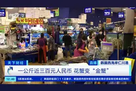 一公斤近300元，创历史最高价！这种普通海鲜，为何突然身价飙升？甚至超过高档品种…图片