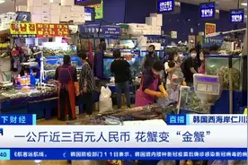 一公斤近300元，创历史最高价！这种普通海鲜，为何突然身价飙升？甚至超过高档品种…图片