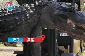 美国男子猎杀400斤鳄鱼送去解剖，打开肚子一看瞬间惊讶不已图片