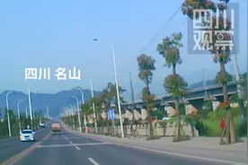 “妈妈 我好痛啊！”司机因分心驾驶造成车祸...图片