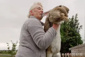 世界最大兔子被偷 主人悬赏1000英镑急寻图片