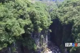 揭秘50万年美景！探险者发现华中最大天坑，深藏的“聚宝盆”图片