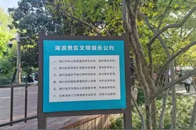 丰大伯在杭州西湖边唱歌十几年了，这次被抢走了麦克风图片