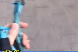 狗狗咬断绳，主人生气拽回家，网友：仿佛看到了小时候犯错的自己图片