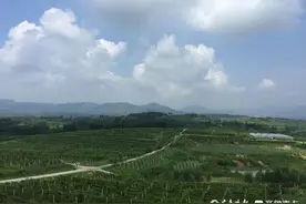 泰安：祝阳镇小小葡萄实现田园乡居生活新梦想图片