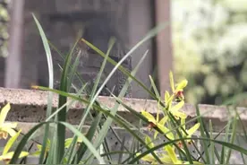 现场｜兰亭修禊处，中国书法兰亭奖颁奖及学术论坛举行图片