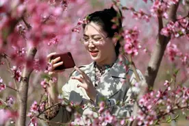 河北固安：“赏花经济”助力乡村振兴图片