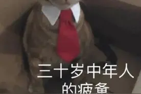 开车累了千万不要强撑！他们都被这个错误害惨了......图片
