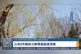 山东8市森林火险等级极度危险，青岛黄岛推行全域全时段野外禁火视频封面