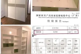 索菲亚甲醛超标，又遭投诉图片