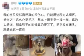 “我的毛孩子又回来了！”85后宝妈在淘宝复刻离世宠物，网友泪崩：太治愈了图片