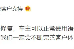 特斯拉：问题已修复，车主可正常使用语音控制功能图片