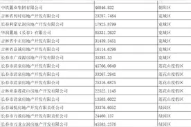 长春打响土地集中竞拍第一枪 40宗地卖出194.44亿元图片