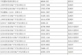 长春打响土地集中竞拍第一枪 40宗地卖出194.44亿元图片