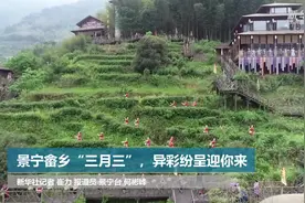 景宁畲乡“三月三” 异彩纷呈等你来视频封面
