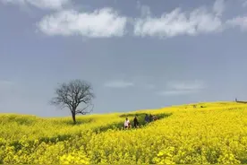 春风洋州 五岭观花画中游图片