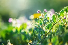 工会喊你免费春游？这个真可以有图片