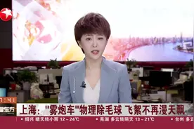 上海：“雾炮车”物理除毛球  飞絮不再漫天飘视频封面