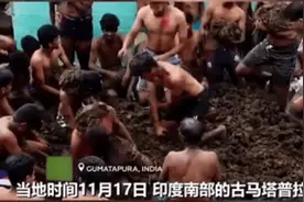印度村民互扔牛粪送祝福，现场粪便满天飞乱作一团……图片