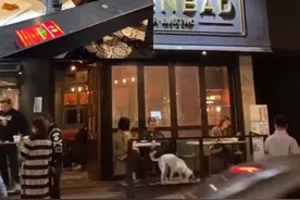 李诞街头酒馆会短发美女 发现被拍两人简短话别图片