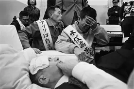 日本曾爆发罕见水俣病，5万只猫集体跳海自杀，唯有死亡才能解脱图片