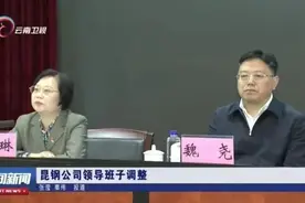 临危受命！超30人被拿下的当天上午，湖北女将跨省救火图片
