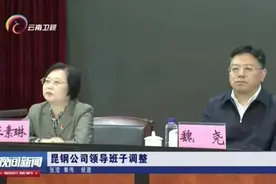 临危受命！超30人被拿下的当天上午，湖北女将跨省救火图片
