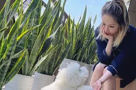 萧亚轩不惧咬伤阴影与爱犬嬉戏 捂脸遮伤疤图片
