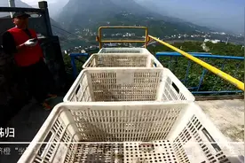 湖北秭归：脐橙出山坐上了“小火车”图片