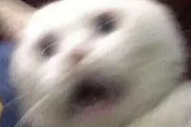 曝光！佛山禅城一男子大闹街头，见人就要“夹”，惊呆现场群众图片