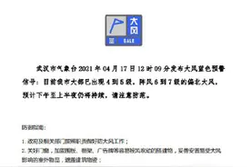 武汉发布预警！6至7级大风已在路上，注意防范图片
