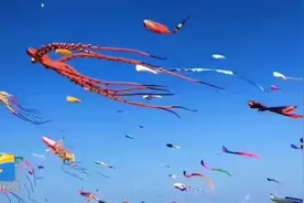46秒｜市区至滨海国际风筝放飞场票价仅1元！潍坊公交专线“火”了图片